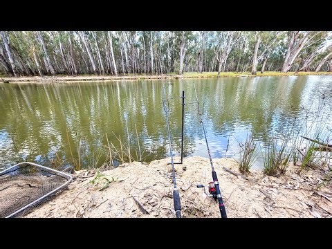 Bait Fishing A Bundalong Backwater