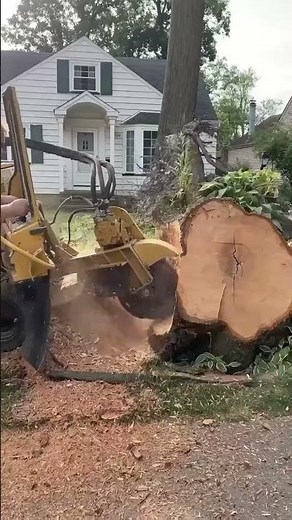 How to Grind Tree Stumps like a pro!