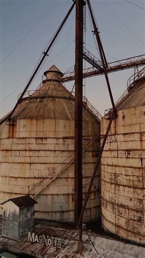 96K views · 1.8K reactions | Christmas at the Silos is happening now—and oh what fun! Celebrate the season with festive flavors, twinkling lights, holiday shopping, and, of course, Santa Claus. To learn more and plan your trip, visit magno.li/cats24. #VisitMagnolia | Magnolia | Facebook