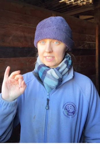 After a three-day migraine, the eyes are absolutely out doing their thing today and I know that they’re terrifying; I’m sorry—but since you all like to tell me what to do so often, maybe you can help me make the best decision to keep the horses and my program safe in Winter #Storm Fern. 🌨️