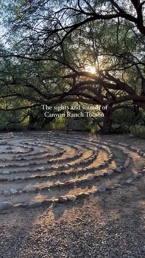 2.2K views · 22 reactions | See the natural beauty of Canyon Ranch Tucson through the eyes of our recent guest, Shawn, who captured the sights and sounds of the Sonoran Desert during her daily walks—a great reminder that pausing to document the little moments around you is a simple way to tap into creativity and cultivate mindfulness. | Canyon Ranch | Facebook