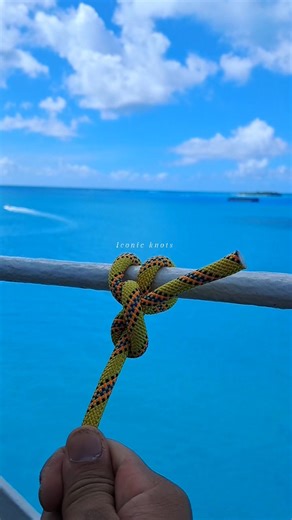 197K views · 1.6K reactions | Simple knot. Ep.153 ( basic secured clove hitch ) #everyoneシ゚ #fblifestyle #fbreels #reelsvideoシ #reelsfbシ #reelsfypシ #reelsfb #fypシ #foryouシ #fb #fy #camping #knot #rope #tutorial | Iconic Knots | Facebook