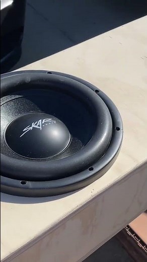 Dual Skar audio VD 10 inch sealed box