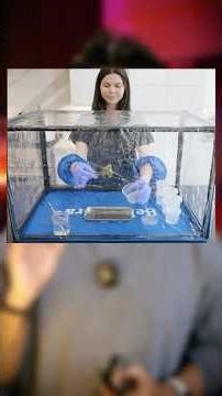 Ek YouTuber Ne Rare Plant Market Crash Kar Diya #shorts