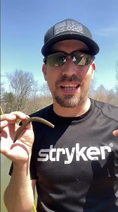 How to fish the WACKY WORM - Bass Fishing Tips #shorts