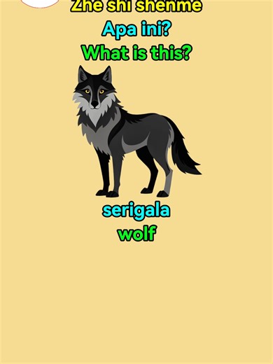 Learn About Animals in Mandarin: Part 14