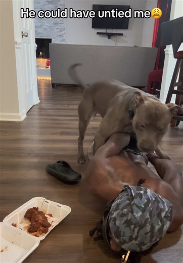 Funny Rescue Dog Moments: He Could Have Untied Me