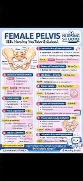 lFemale Pelvis Explained with Diagram | Nursing Anatomy | BSC NSG Female Pelvis Diagram Explained |