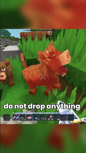 5 Hytale Tips That'll Save You HOURS