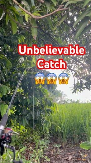 I caught a long fish using my reel string🐋💦🎣#fishing