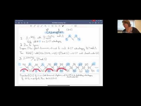 CARW02 | Dr. Karin M. Jacobsen | On the Role of Gentle Algebras in Higher Homological Algebra