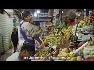 WFP Foodprints | 🌎 🍃 Amazonía