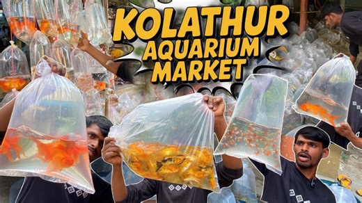 125K views · 1.7K reactions | Kolathur Fish Market Chennai  | A...