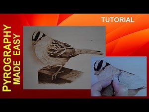 Wood Burning - White Crowned Sparrow Bird - pyrography tutorial