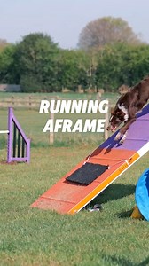 43K views · 322 reactions | My aframe training offers not just one method but two - stride regulators or a mat!  Learn not just from the beginning but troubleshooting problems that happened to my own dog! Join today and get access to everything. Pay monthly, cancel any time  | Q-Me Agility Training | Facebook
