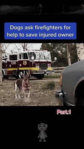 911 Lone Star Doberman Scene - Saving Lives