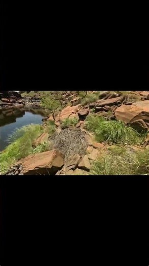 Walking Into Horseshoe Gorge | Hidden Pilbara Beauty
