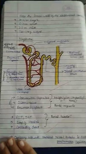 Chapter 19 Excretory Product and their Elimination || Class 11 || Biology || Best Notes || 🔥🔥💯💯