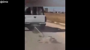 Gruesome compilation