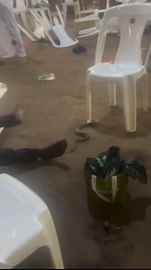 A man vom!t 🤮 big python 🐍 in Church | Celestial Being The Prophetic Angel