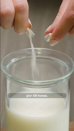 Línea de probióticos B Life®. 60, 80 y 200 Billones.