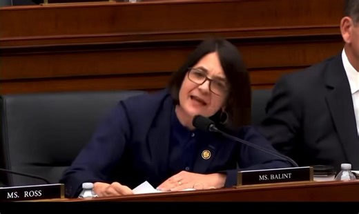 REP. BALINT: “This is not a game, Secretary!” BONDI: “I’m Attorney General.” REP. BALINT: “My apologies. I couldn’t tell.” 🔥 | The Tennessee Holler