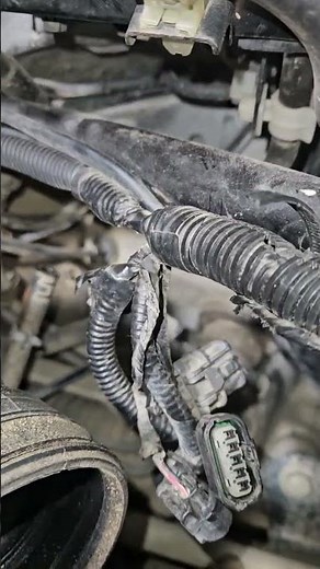 Honda crv 2005 2.2d fuel filter location