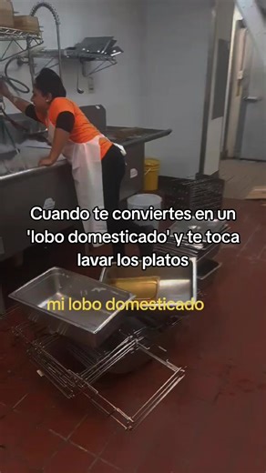 Exploring the Life of a Domesticated Wolf