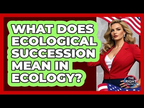 What Does Ecological Succession Mean In Ecology?