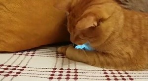 51K views · 4.7K reactions | For the ones who wanted to see the long...