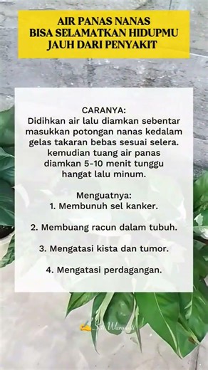 air panas nanas bisa selamatkan hidupmu jauh dari penyakit #shortfyp #harusberanda #bikinsehat