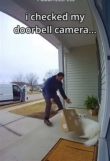 he did this to my dog… I tracked him down 🐾 📦 | #dog #kindness #animals