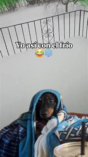 #Meme #memecut #latinosenusa #paratiiiiiiiiiiiiiiiiiiiiiiiiiiiiiii #fyp