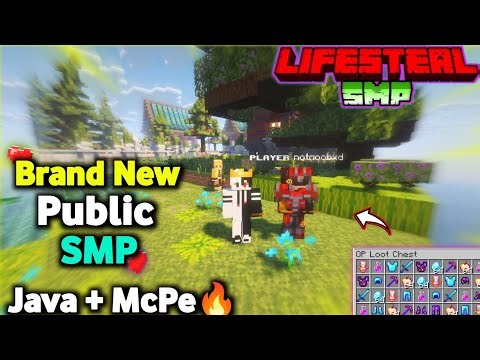 💀 New Best Cracked Public Lifesteal SMP 🧁 | Minecraft Java + PE | 24/7 Online | Free To Join 🤯