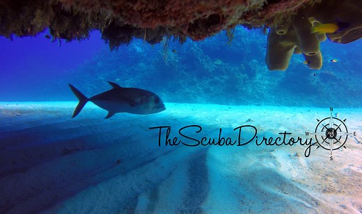 Underwater Color Correction | The Scuba Directory