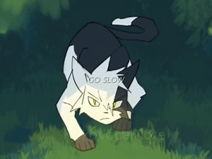 This song>>>>#waca#warriors#warriorcats#ninjago#intro#song#og#edit#thunderclan#windclan#shadowclan#riverclan#skyclan#bloodclan#starclan#darkforest#tribeofrushingwater#mountains#territory#jump#kick#whip#spin#ninja#warrior#котывоители#books#bookseries#fyy