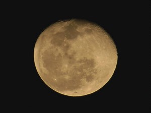 尼康D5300拍摄作品（300mm镜头）