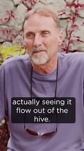 Cedar and Stu share their Flow Hive invention. Making harvesting honey easier for the beekeeper and much gentler on the bees 🐝 #flowhive #honeyharvest #ourstory #beekeeping | Flow Hive