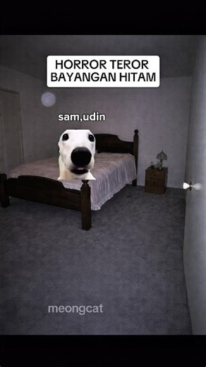horror diculik sama hantu #memes #meme #catlovers #catmemes #kucing #kucinglucu