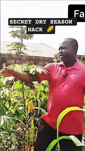 Making maize 🌽 Survive without rain