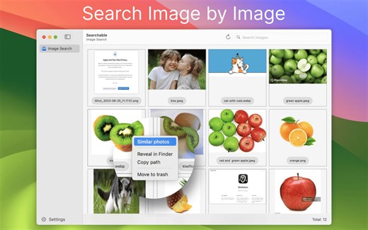 Searchable 2.0: 以图搜图,查找图片文字, 图片内容