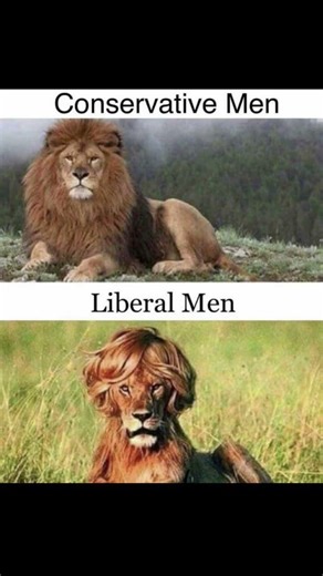 con Vs lib