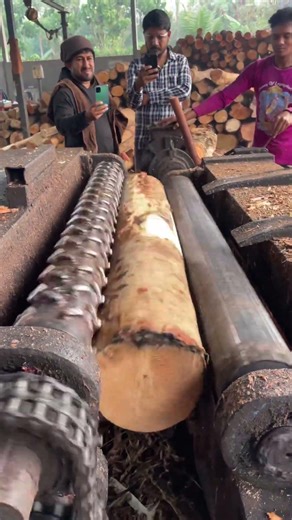 Chain security peeling machine 🪵|#peeling #wood #wheelsaw