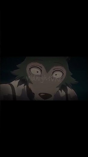 Legoshi x haru #edit// #anime #animeaddict #netflixanime #haveitoldyoulatelythatiloveyou #furry