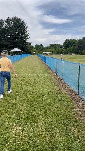 Here's 𝗗𝗼𝗼𝘇𝗶𝗲, our 11½-year-old Standard, competing in her first-ever Fast CAT. CAT stands for Coursing Agility Test, a 100-yard dash where dogs compete individually as they chase a lure against the clock. Doozie had a fabulous day watching other breeds and dogs compete and ran the course twice with a best effort of 16.71 seconds and an average speed of 12.24 mph for 100 yards. Not bad for a first-time outing and a dog her age! You can find Fast CAT venues in your area and track how dogs r