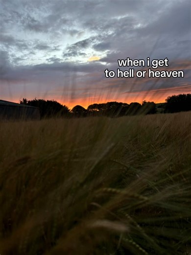 My girls 💕#fyp #scotland #sheep #mule