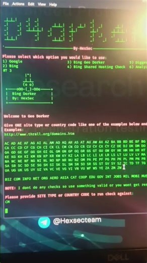 Scan any country code and collects potential SQL-Injection targets dorks.GitHub release coming soon.