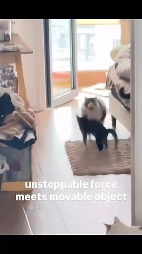 unstoppable force meets movable object