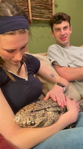 BLUE THE TEGU on Instagram: "Blue is spoiled with affection 💙 . . . . . . #tegulizard #monitorlizard #love #reptilelover #reptileofinstagram"
