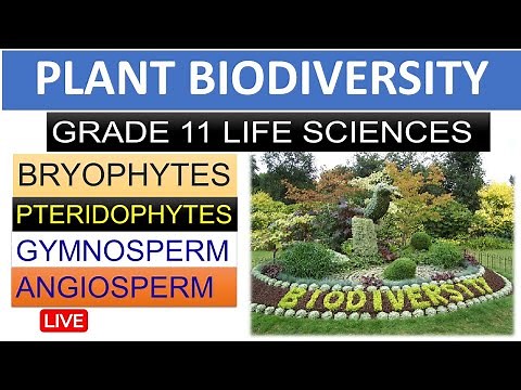 PLANT BIODIVERSITY: GRADE 11 LIFE SCIENCES , BRYOPHYTES,Pteridophyte ETC [THUNDEREDUC] M.SAIDI